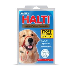 Hundehalfter von Halti